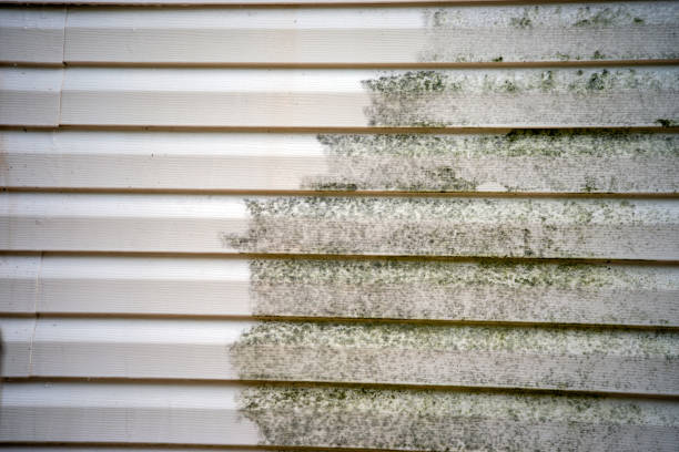 Best Hoarding Cleanup  in Cumberland Head, NY