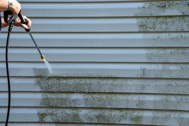 Best Shed Removal  in Cumberland Head, NY